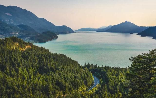 Finding your people far from home